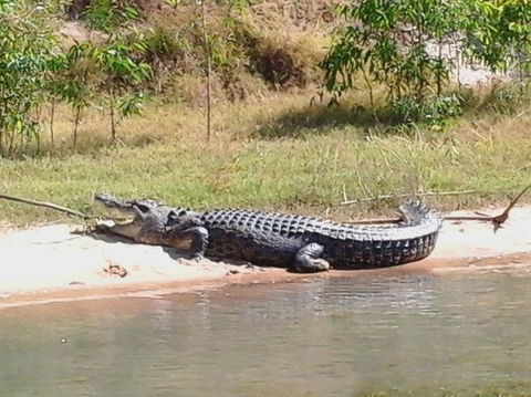 3-Day Kakadu National Park And Arnhem Land Explorer Tour From Darwin - Accommodation Main Beach 6