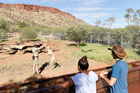 Alice Springs Desert Park General Entry Ticket - Accommodation Main Beach 9