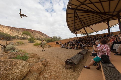 Alice Springs Desert Park General Entry Ticket - Accommodation Main Beach 5