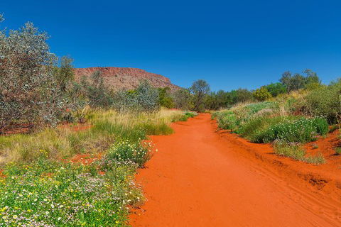 Alice Springs Desert Park General Entry Ticket - Accommodation Main Beach 7
