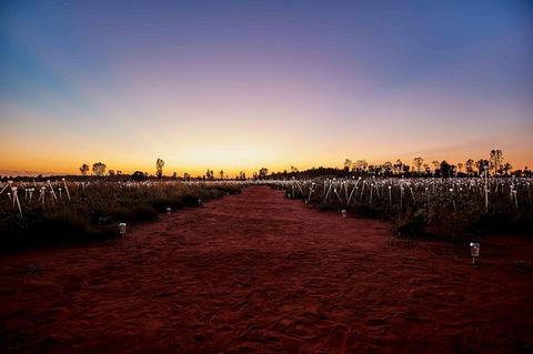 Uluru & Kata Tjuta Sights & Sounds - Accommodation Main Beach 16