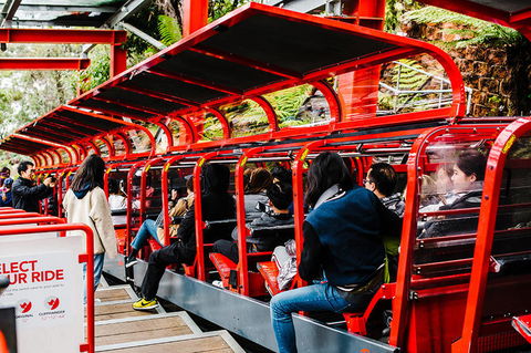 All-Inclusive Blue Mountains Day Trip With River Cruise - Accommodation Main Beach 7