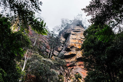 All-Inclusive Blue Mountains Day Trip With River Cruise - Accommodation Main Beach 3