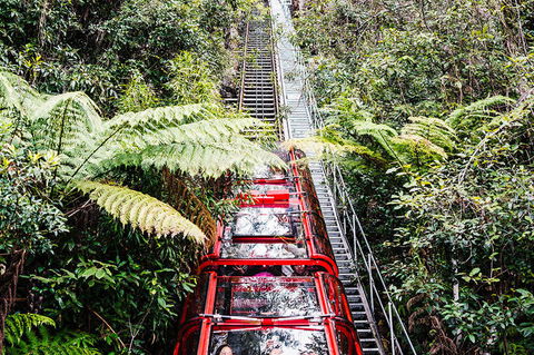 All-Inclusive Blue Mountains Day Trip With River Cruise - Accommodation Main Beach 6