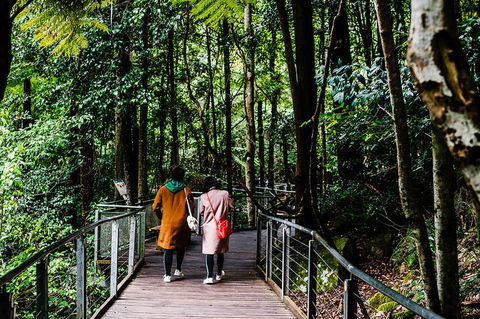 All-Inclusive Blue Mountains Day Trip With River Cruise - Accommodation Main Beach 10