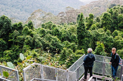 All-Inclusive Blue Mountains Day Trip With River Cruise - Accommodation Main Beach 2