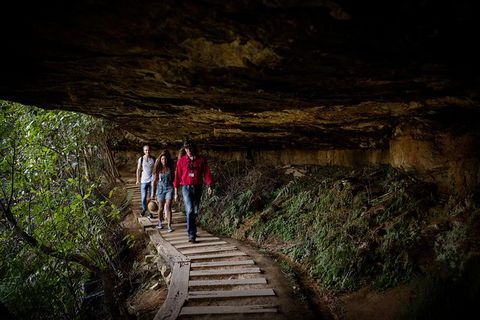 All-Inclusive Blue Mountains Day Trip With River Cruise - Accommodation Main Beach 34