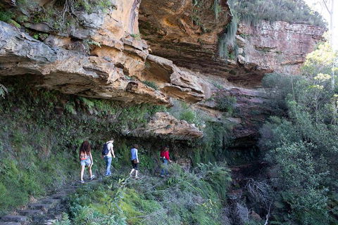 All-Inclusive Blue Mountains Day Trip With River Cruise - Accommodation Main Beach 38