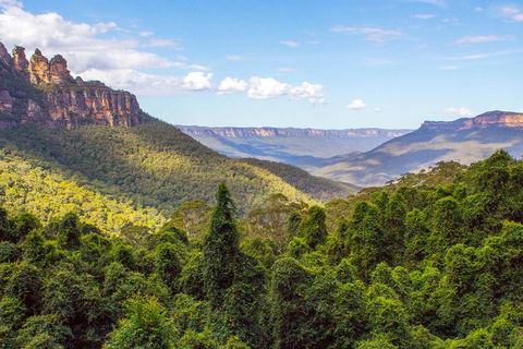 All-Inclusive Blue Mountains Day Trip With River Cruise - Accommodation Main Beach 28