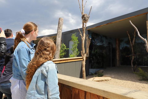 All-Inclusive Blue Mountains Day Trip With River Cruise - Accommodation Main Beach 23