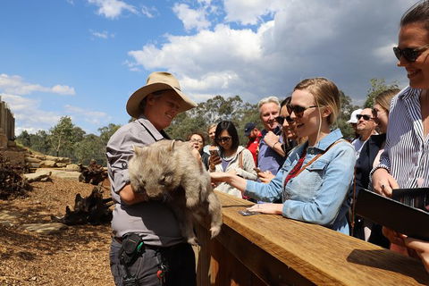 All-Inclusive Blue Mountains Day Trip With River Cruise - Accommodation Main Beach 27