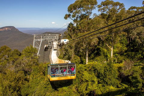 All-Inclusive Blue Mountains Day Trip With River Cruise - Accommodation Main Beach 39