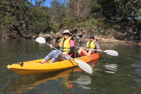 Paddle In Paradise - 4 Hours Double Kayak Hire - Accommodation Main Beach 6