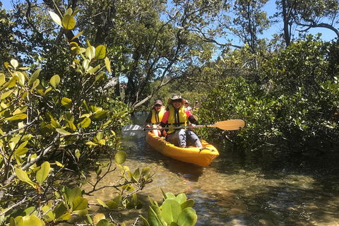 Paddle In Paradise - 4 Hours Double Kayak Hire - Accommodation Main Beach 5