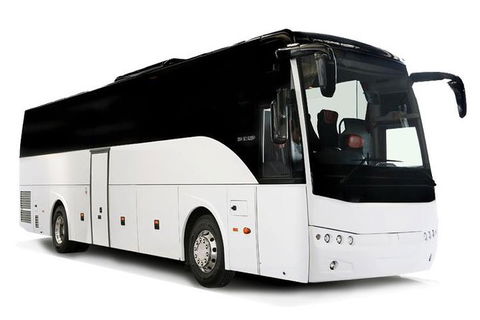 Shared Shuttle - Sydney (SYD) - Sydney City - Accommodation Main Beach 1
