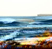 7-Day Byron Bay Evans Head and Moonee Beach Surf Safari from Brisbane Gold Coast or Byron Bay - Accommodation Main Beach