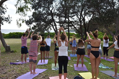 7-Day Byron Bay, Evans Head And Moonee Beach Surf Safari From Brisbane, Gold Coast Or Byron Bay - Accommodation Main Beach 3