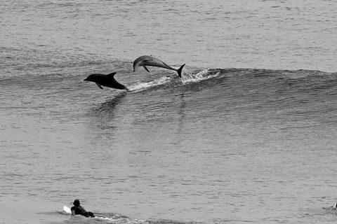 7-Day Byron Bay, Evans Head And Moonee Beach Surf Safari From Brisbane, Gold Coast Or Byron Bay - Accommodation Main Beach 6