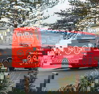 SkyBus Byron Bay Express - Accommodation Main Beach