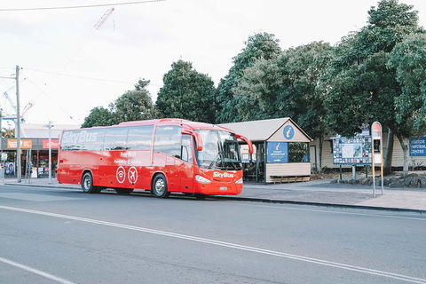 SkyBus Byron Bay Express - Accommodation Main Beach 1