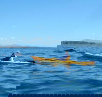 Whale Watching by Sea Kayak in Batemans Bay - Accommodation Main Beach