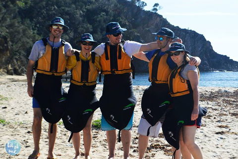 Whale Watching By Sea Kayak In Batemans Bay - Accommodation Main Beach 5