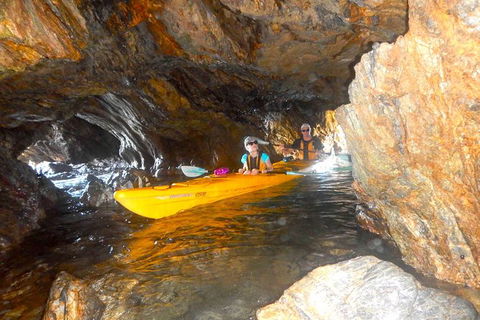 Whale Watching By Sea Kayak In Batemans Bay - Accommodation Main Beach 4