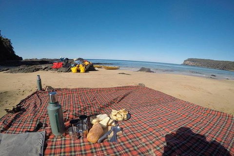 Whale Watching By Sea Kayak In Batemans Bay - Accommodation Main Beach 6