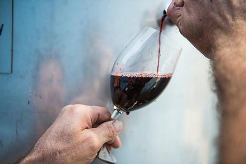 Urban Winery Sydney: Winery Tour And Tasting - Accommodation Main Beach 1