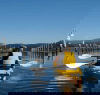 Batemans Bay Oyster Tasting Kayak Tour - Accommodation Main Beach