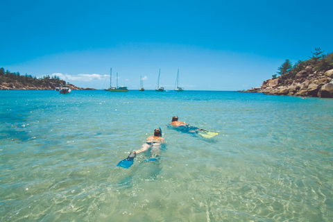 Arcadia At Magnetic Island - Accommodation Main Beach 0