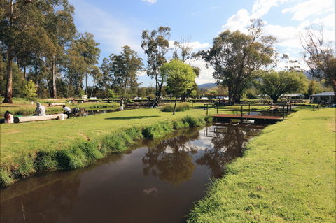 Buxton Trout And Salmon Farm - Accommodation Main Beach 1