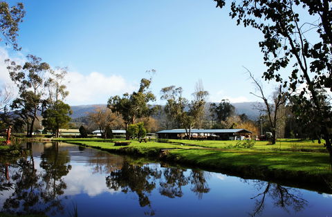 Buxton Trout And Salmon Farm - Accommodation Main Beach 2
