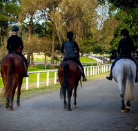 Centennial Stables - Accommodation Main Beach