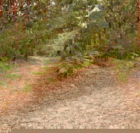 Daleys Point Walking Track - Accommodation Main Beach