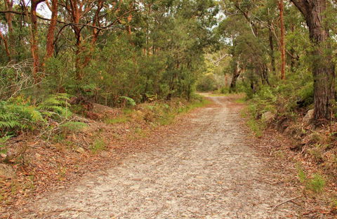 Daleys Point Walking Track - Accommodation Main Beach 0
