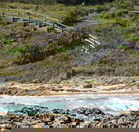 Dammerels History Walk - Accommodation Main Beach
