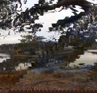 Duck Lagoon - Accommodation Main Beach
