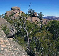 Evans Crown Nature Reserve - Accommodation Main Beach