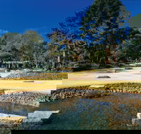 Geelong Botanic Gardens - Accommodation Main Beach