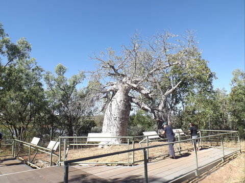 Gregory's Tree, Timber Creek - Accommodation Main Beach 0