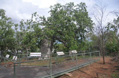 Gregory's Tree, Timber Creek - Accommodation Main Beach 1