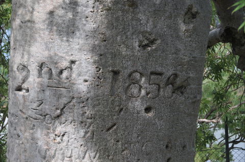 Gregory's Tree, Timber Creek - Accommodation Main Beach 2