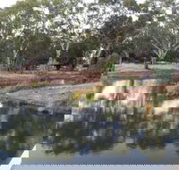 Green Corridor Walking Track - Accommodation Main Beach