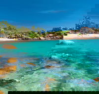 Horseshoe Bay - Bowen - Accommodation Main Beach