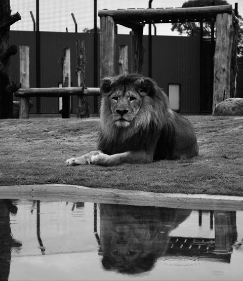 Hunter Valley Zoo - Accommodation Main Beach 0