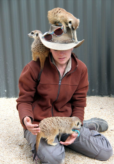 Hunter Valley Zoo - Accommodation Main Beach 2