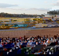 Ipswich Motorsport Precinct - Accommodation Main Beach