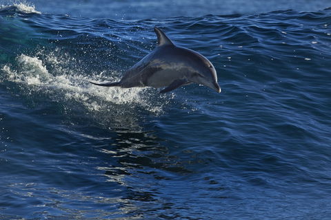 Kalbarri Town Centre - Accommodation Main Beach 1
