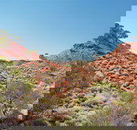 Lark Quarry Conservation Park - Accommodation Main Beach